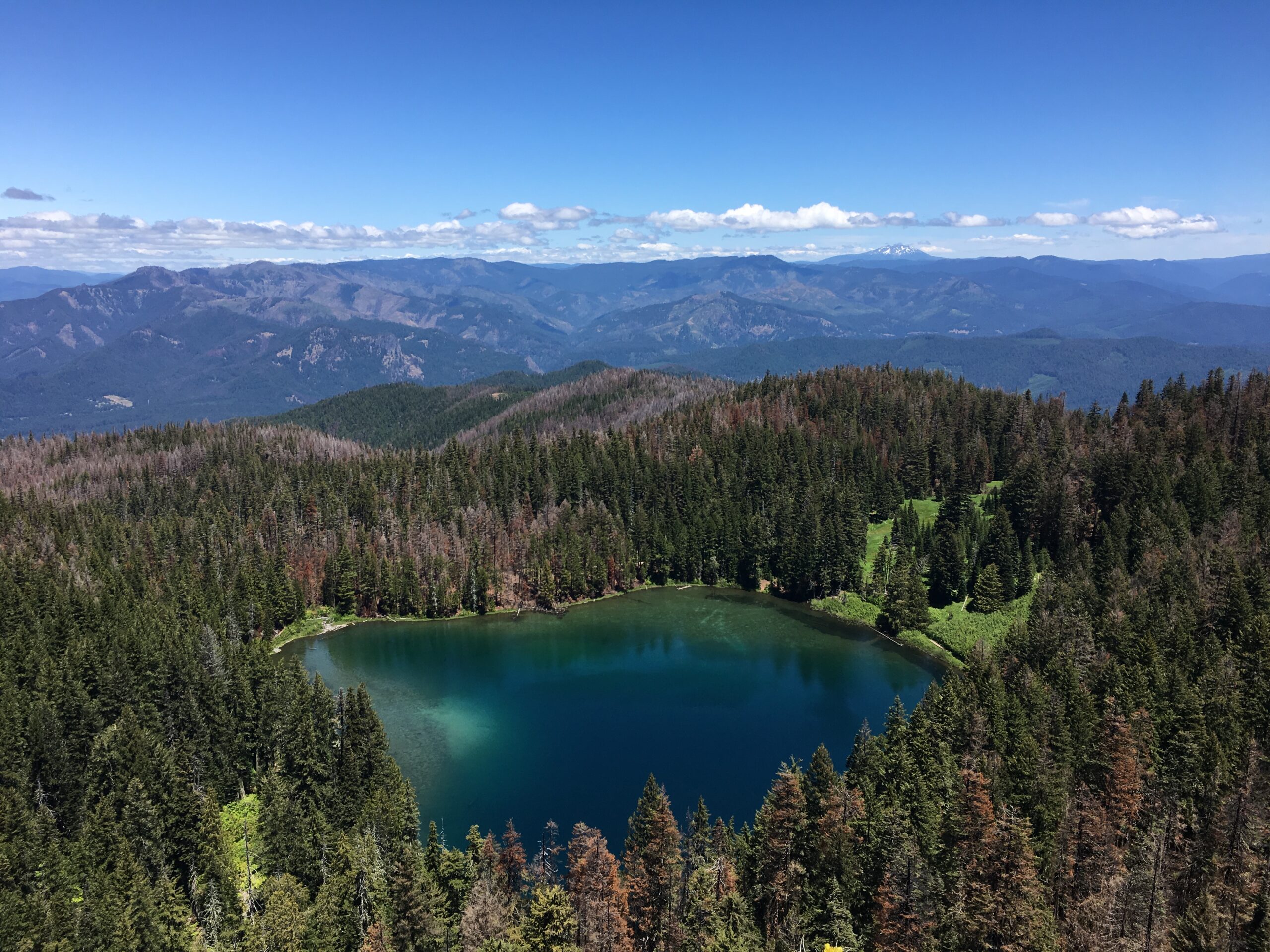 Lake Advertise 1