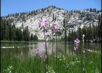 HN Trail 14_8